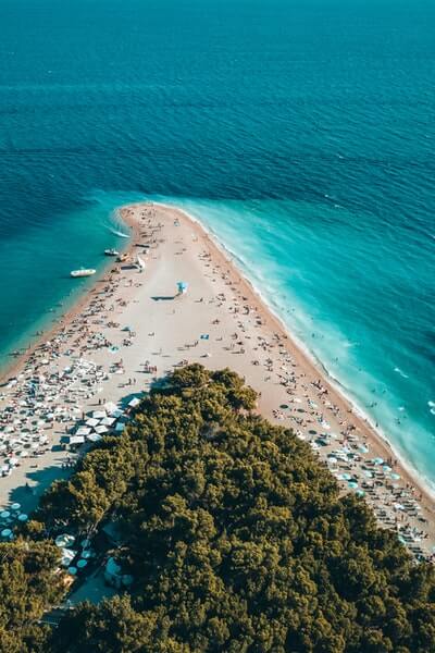 Beach with trees